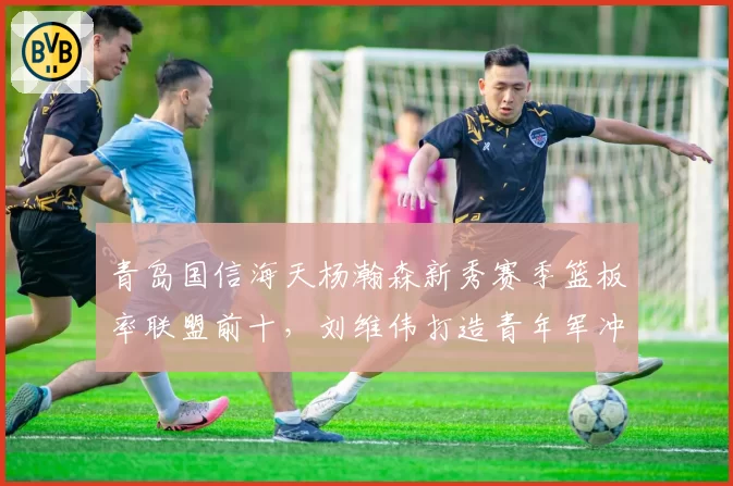 青岛国信海天杨瀚森新秀赛季篮板率联盟前十，刘维伟打造青年军冲击季后赛