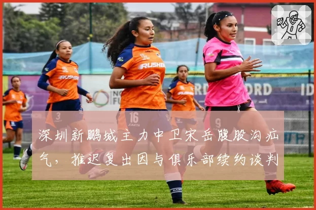 深圳新鹏城主力中卫宋岳腹股沟疝气，推迟复出因与俱乐部续约谈判僵持