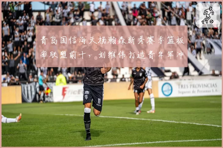 青岛国信海天杨瀚森新秀赛季篮板率联盟前十，刘维伟打造青年军冲击季后赛