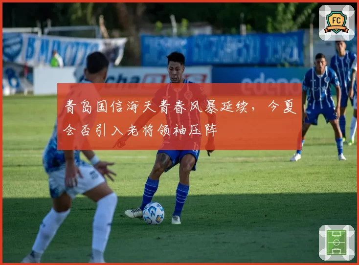 青岛国信海天青春风暴延续,今夏会否引入老将领袖压阵