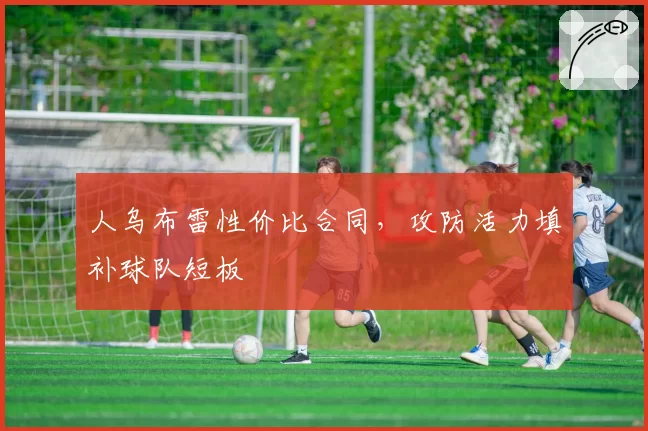 人乌布雷性价比合同，攻防活力填补球队短板