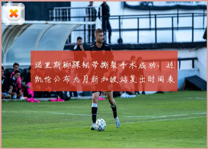 诺里斯脚踝韧带撕裂手术成功，迈凯伦公布九月新加坡站复出时间表