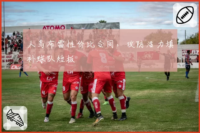 人乌布雷性价比合同，攻防活力填补球队短板